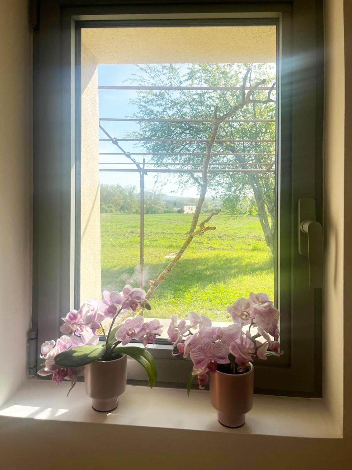 Villa Le Petit Cabanon Provencal à Mane  Extérieur photo