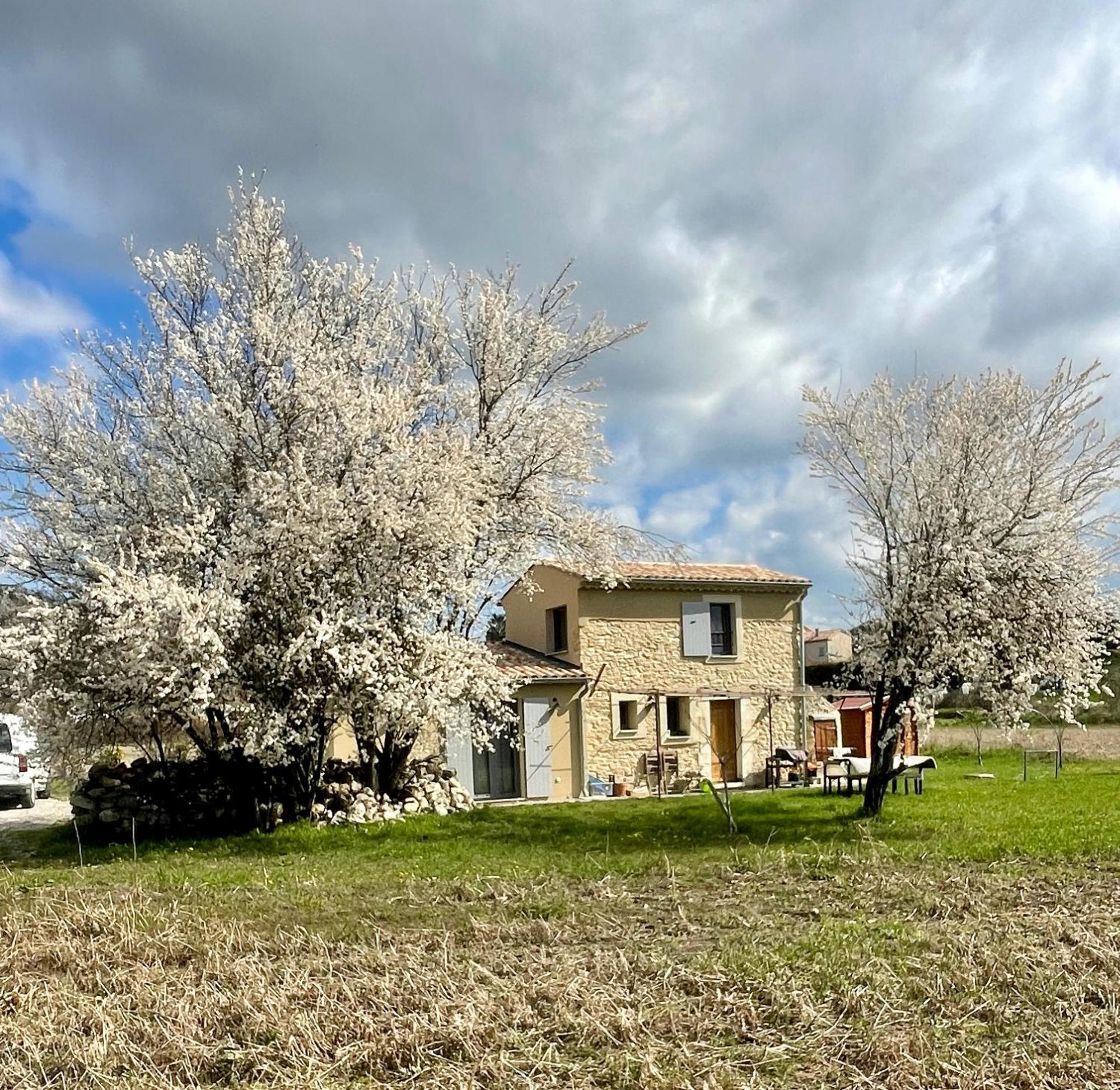 Villa Le Petit Cabanon Provencal à Mane  Extérieur photo